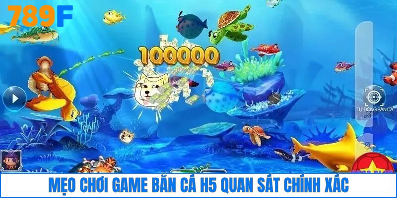 Quan sát kỹ lưỡng trước khi xuống đạn