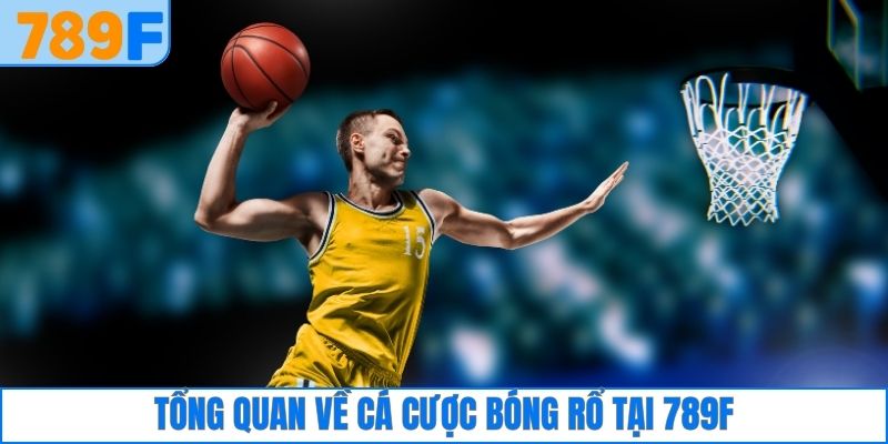 Tổng quan về cá cược bóng rổ tại 789F