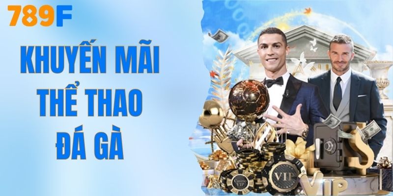 Khuyến Mãi Thể Thao Đá Gà - Cược Càng Nhiều Thưởng Càng Lớn