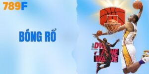 Chiến Thuật Cá Cược Bóng Rổ Giúp Thu Về Lãi Ổn Định